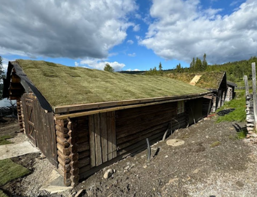 vedlikehold av torgtak